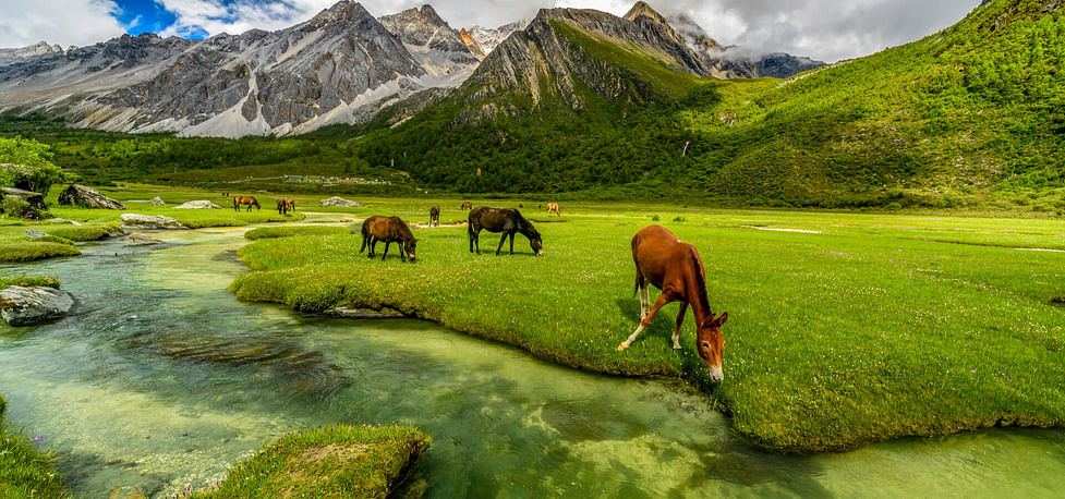 Best Time to Visit Jammu and Kashmir - How to Reach Jammu and Kashmir - Club Mahindra Best Time to Visit Jammu and Kashmir - How to Reach Jammu and Kashmir - Club Mahindra