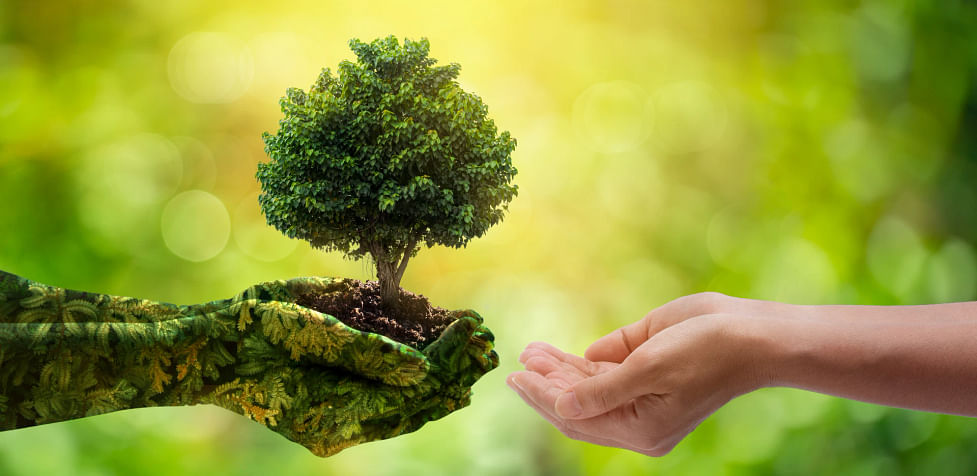 5 Things To Do on Environment day | World Environment Day 2023 - Club  Mahindra