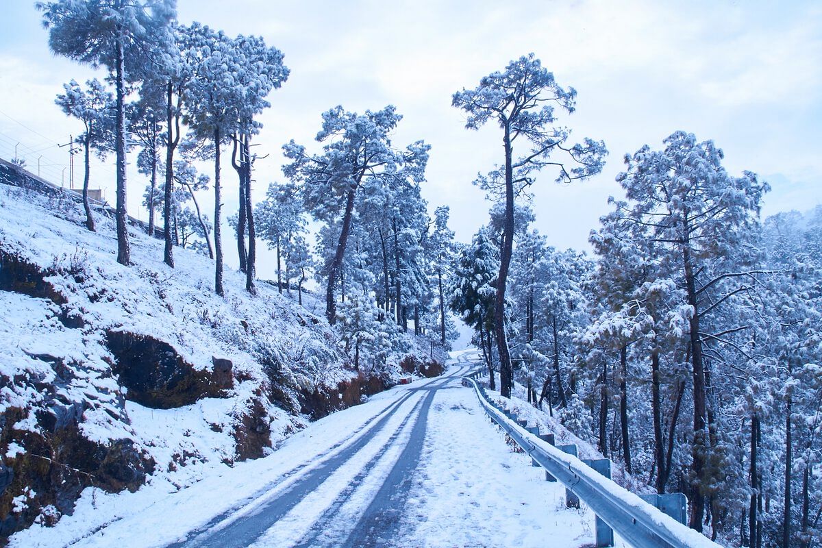 Binsar