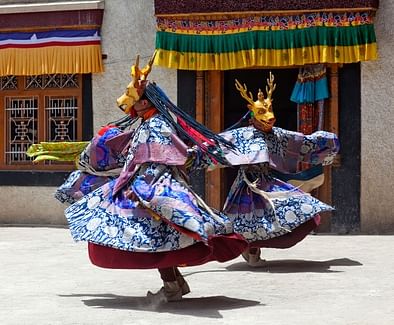 What is the famous festival of Ladakh?, by noblehousetours