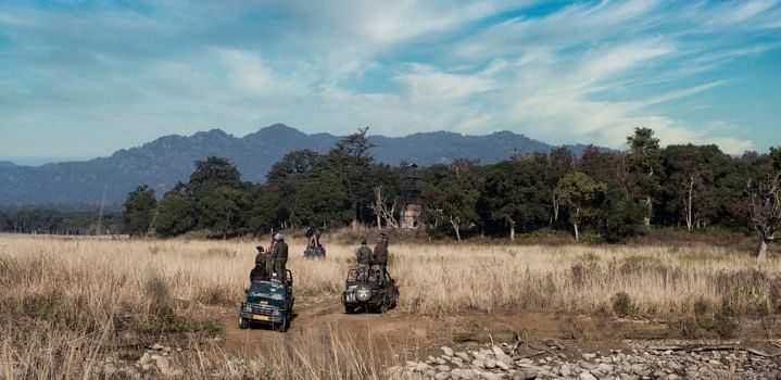 6 Best Jungle Safari Destinations in India for a Tryst with the Wildlife
