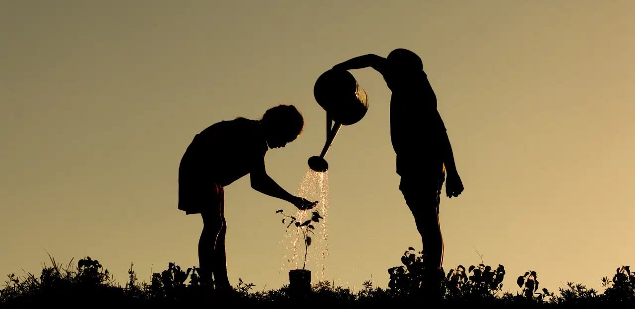 World Environment Day Celebration Ideas