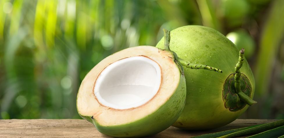World Coconut Day: Benefits of Eating Coconut - Club Mahindra