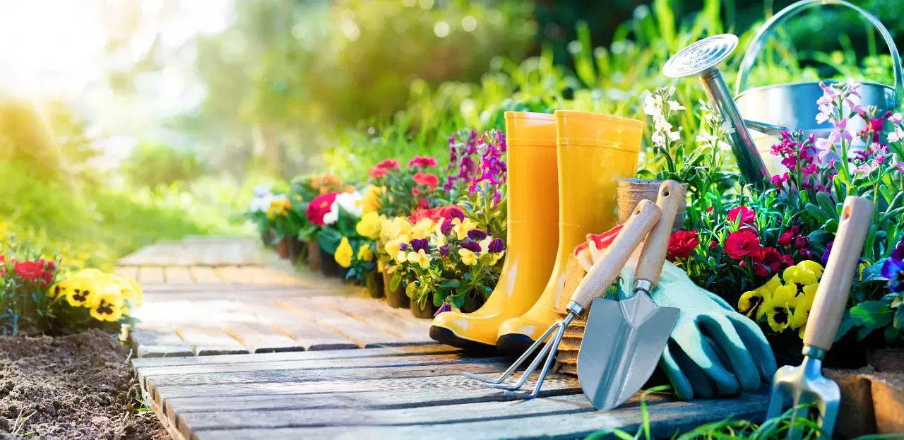 Best Gardening Tools