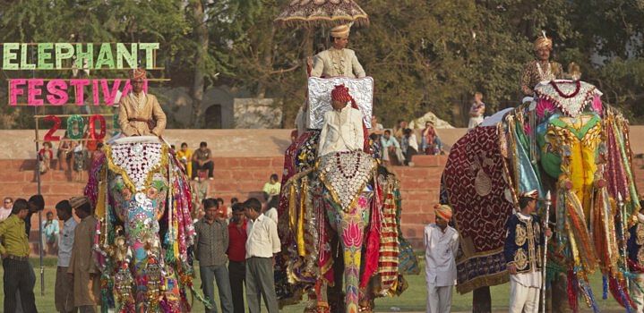 Rajasthan's cultural heritage at Elephant Festival Jaipur 2024 - Club Mahindra