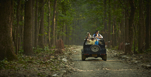 Head out for a Jungle Safari