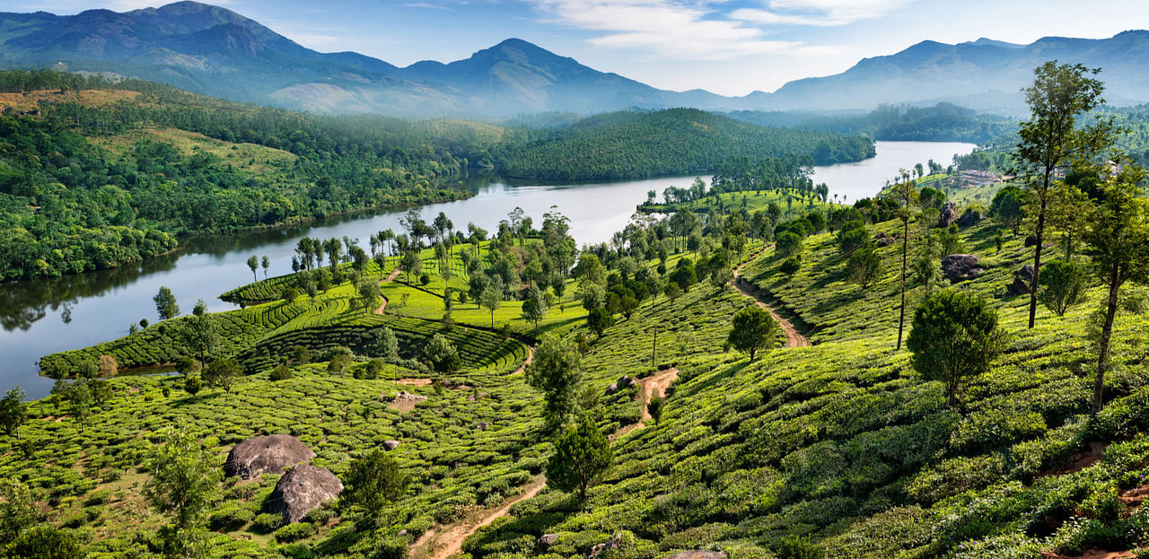 Places to Visit in Munnar