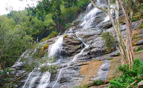 Things to do in Yercaud - Kiliyur Falls