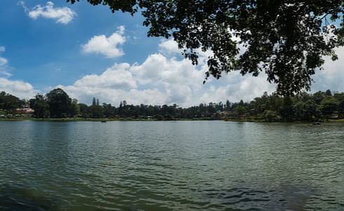 Things to do in Yercaud - Emerald Lake