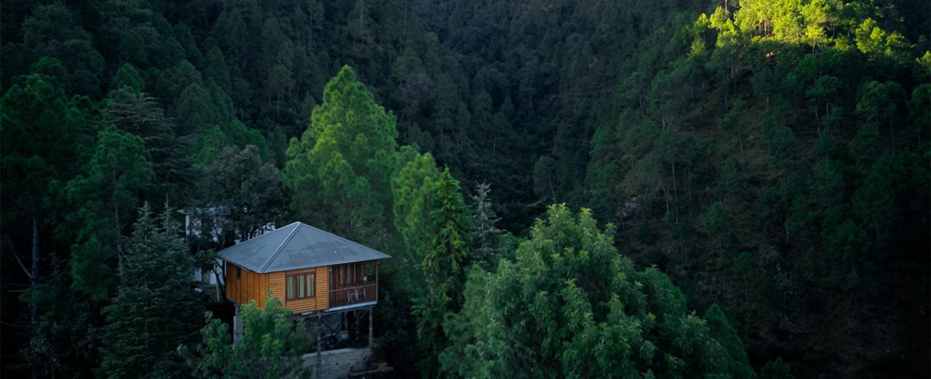 Club Mahindra Binsar Villa, photo 2